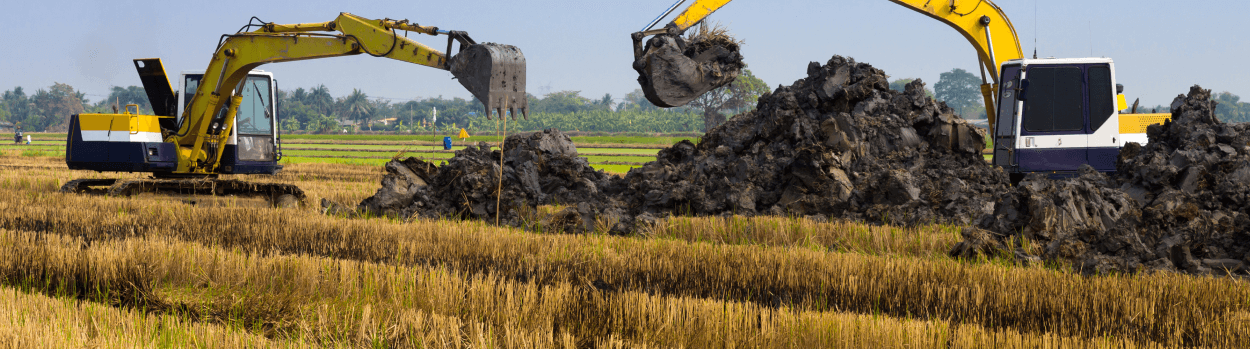 Agriculture